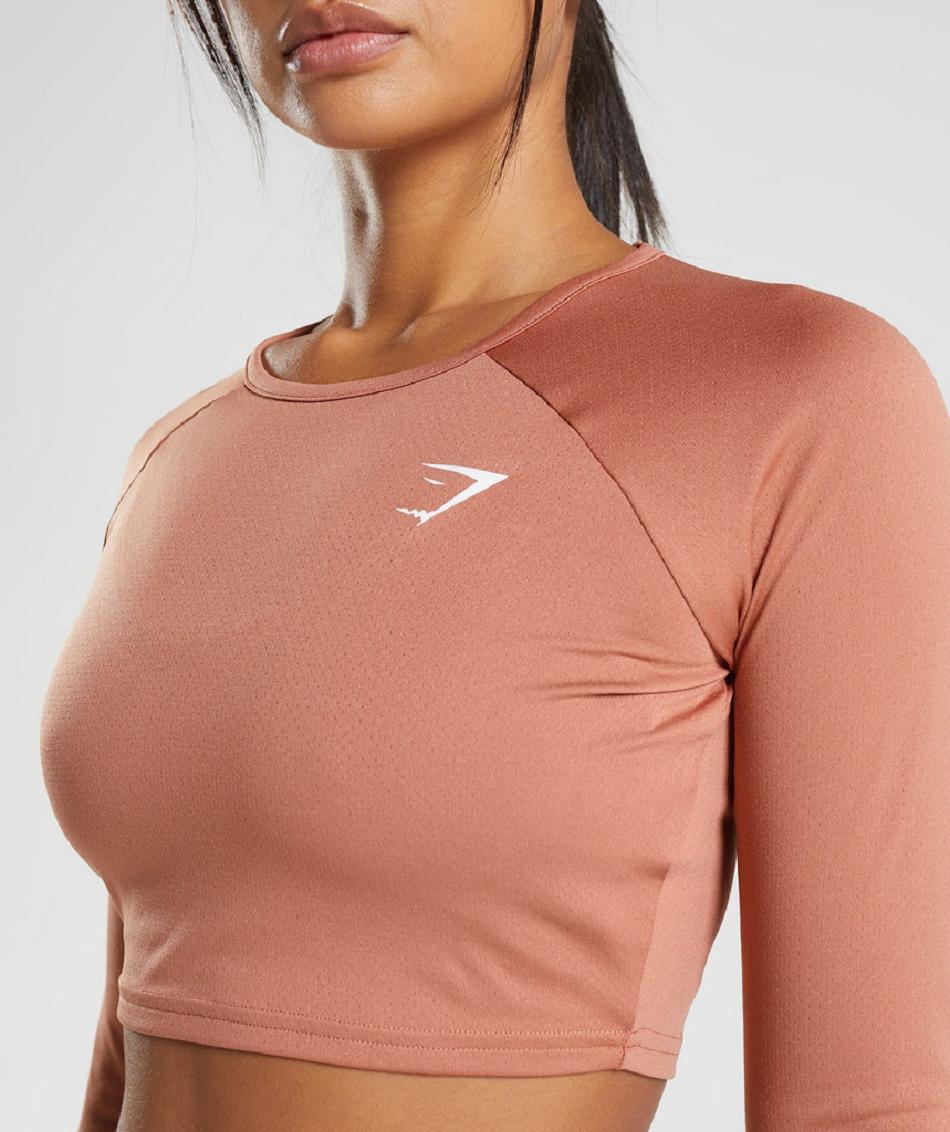 Long Sleeve Gymshark Entrenamiento Mujer Marrones | CO 2296HAP